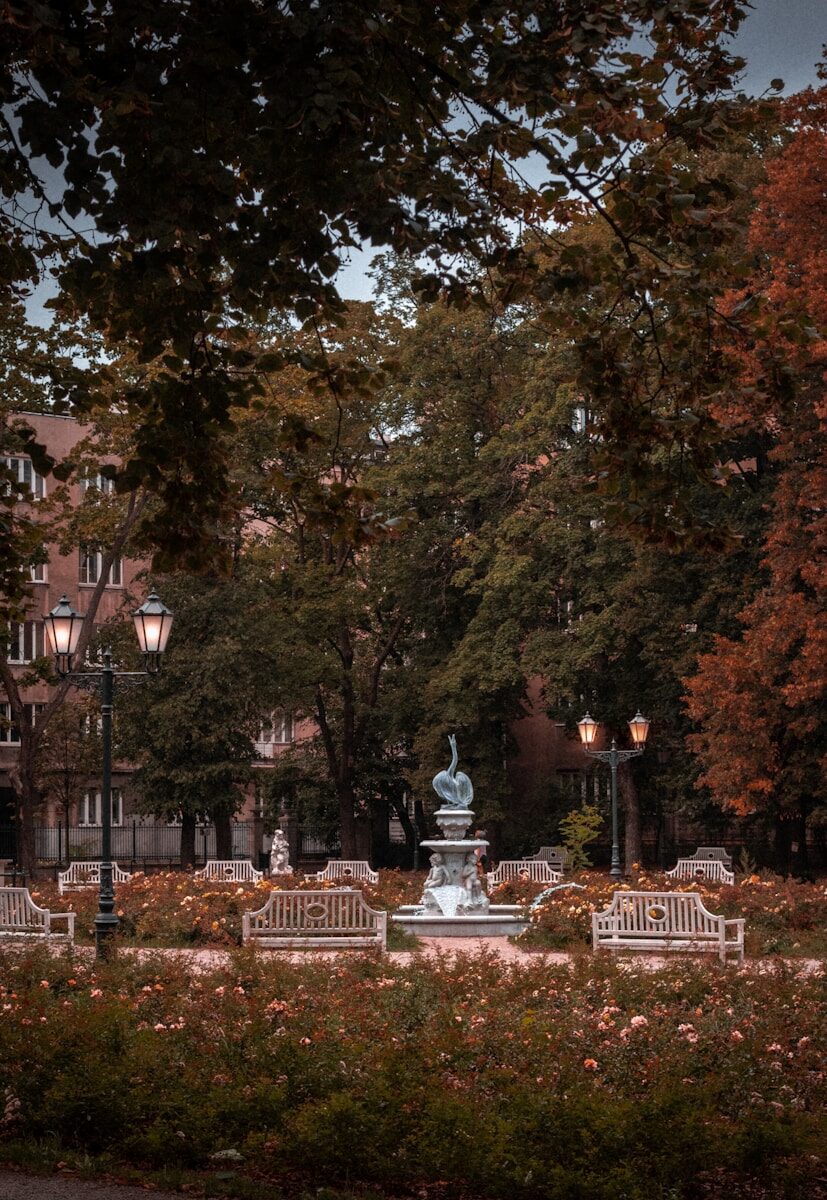 a couple of benches sitting next to each other in a park