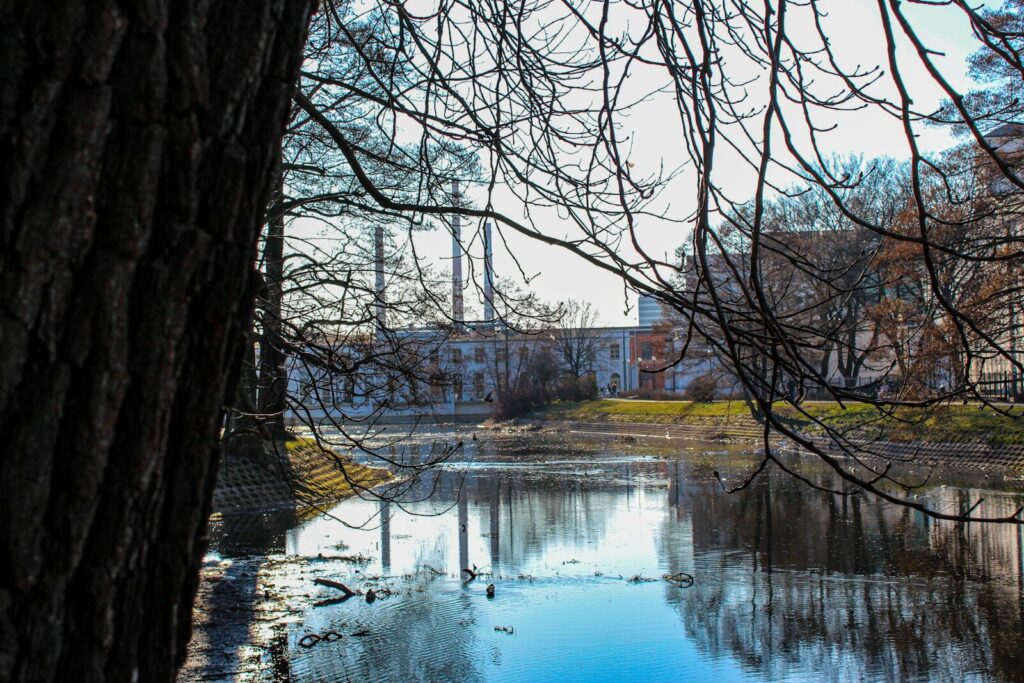 a body of water surrounded by trees and buildings